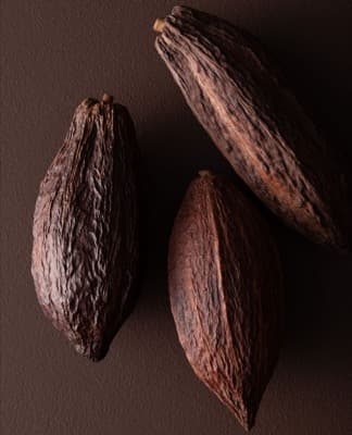 Top Grade 100% Chocolate